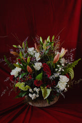 Cozy Glow Arrangement