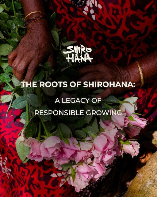 The Roots of Shirohana: A Legacy of Responsible Growing