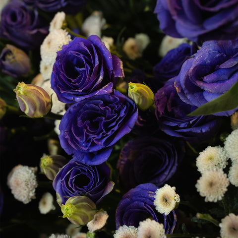 Bright Purple Lisi Wrap