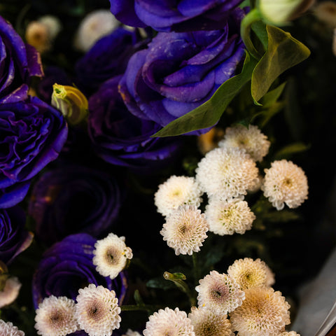 Bright Purple Lisi Wrap