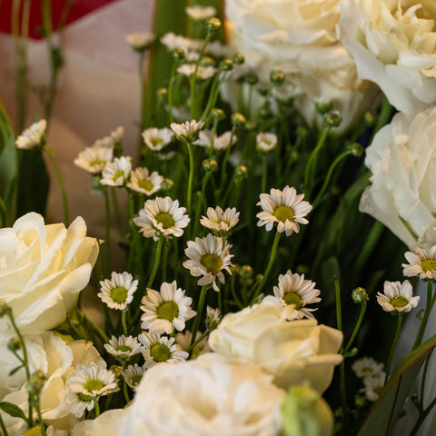 Snowy White Lisi Wrap