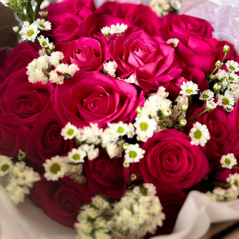 BGF-red_web_images_04