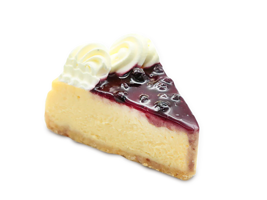 BLUEBERRY CHEESECAKE `1