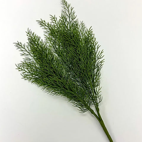 Cyprus Foliage