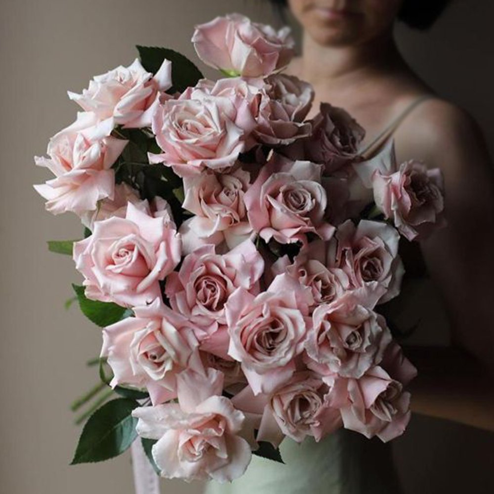 DELICATE-FLORA.jpg
