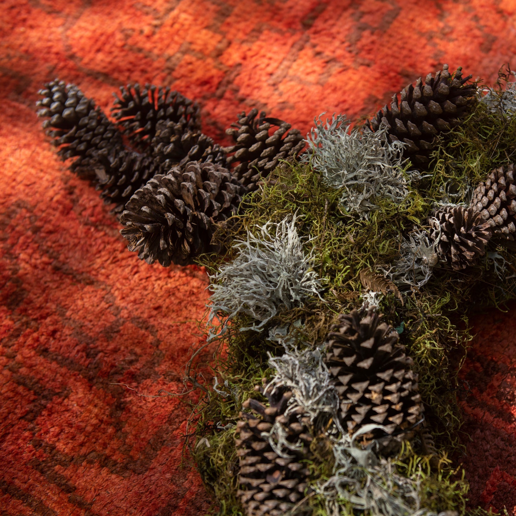 Wreath with pine cones and moss on a textured red and orange background