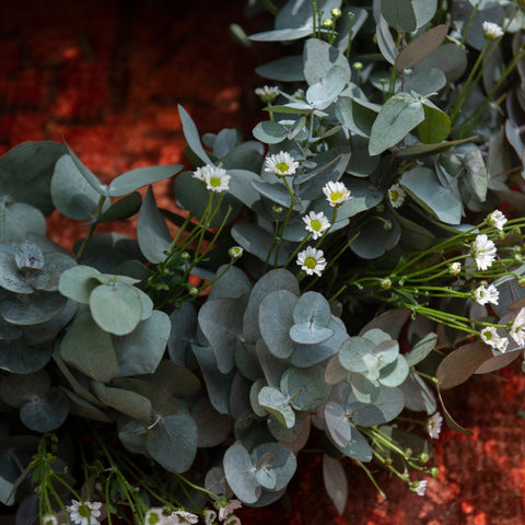 Eucalyptus Wreath