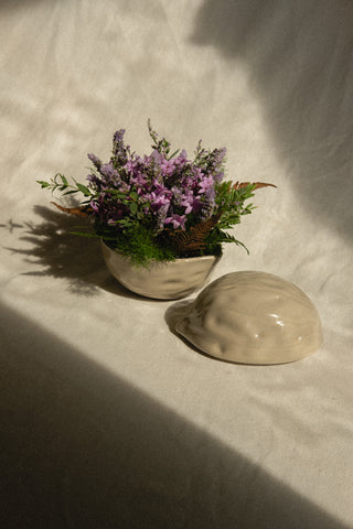 Whispering Winter Wonders