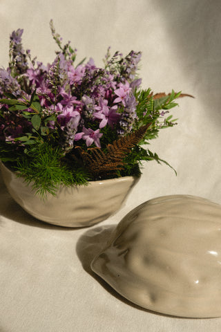 Whispering Winter Wonders