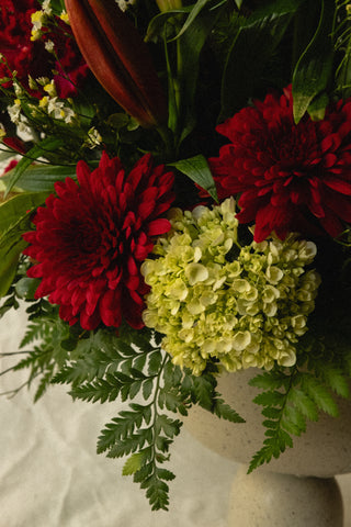 Silver Bells Radiance