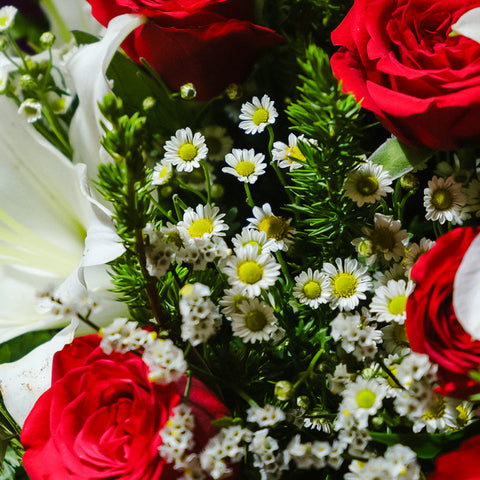 Mini Chrysanthemums