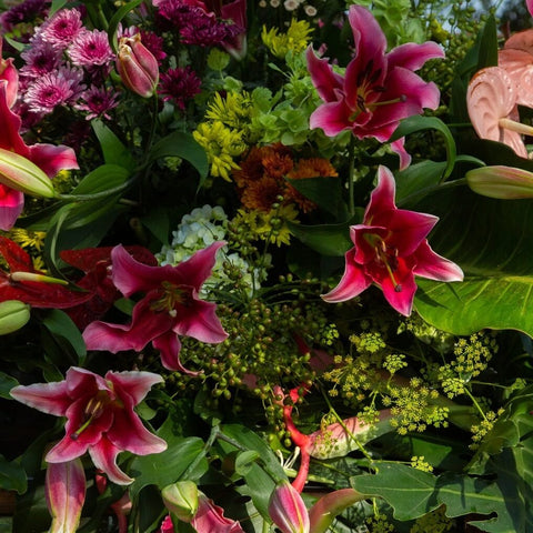 Pink Lillies