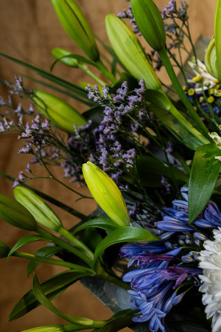 Spring Light