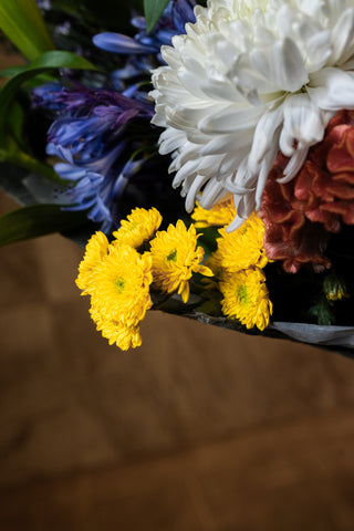 Spring Light