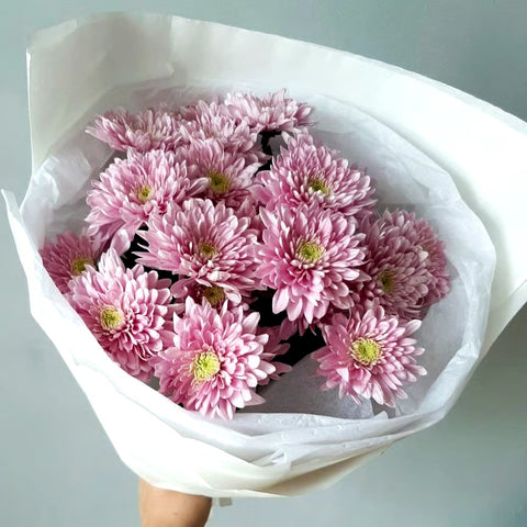 Pink Chrysanthemums