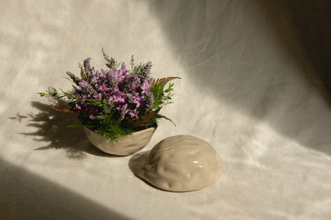 Whispering Winter Wonders