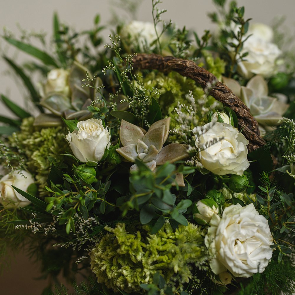 close-up-06.jpg