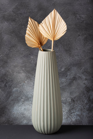Dried Palm Stems