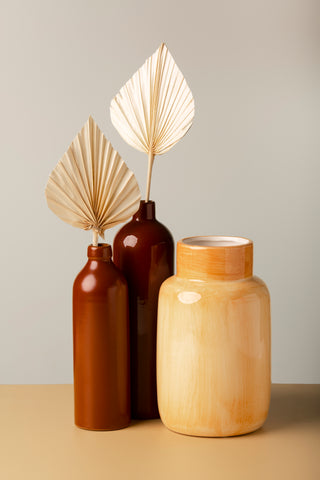 Dried Palm Stems