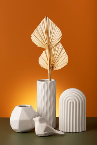 Dried Palm Stems