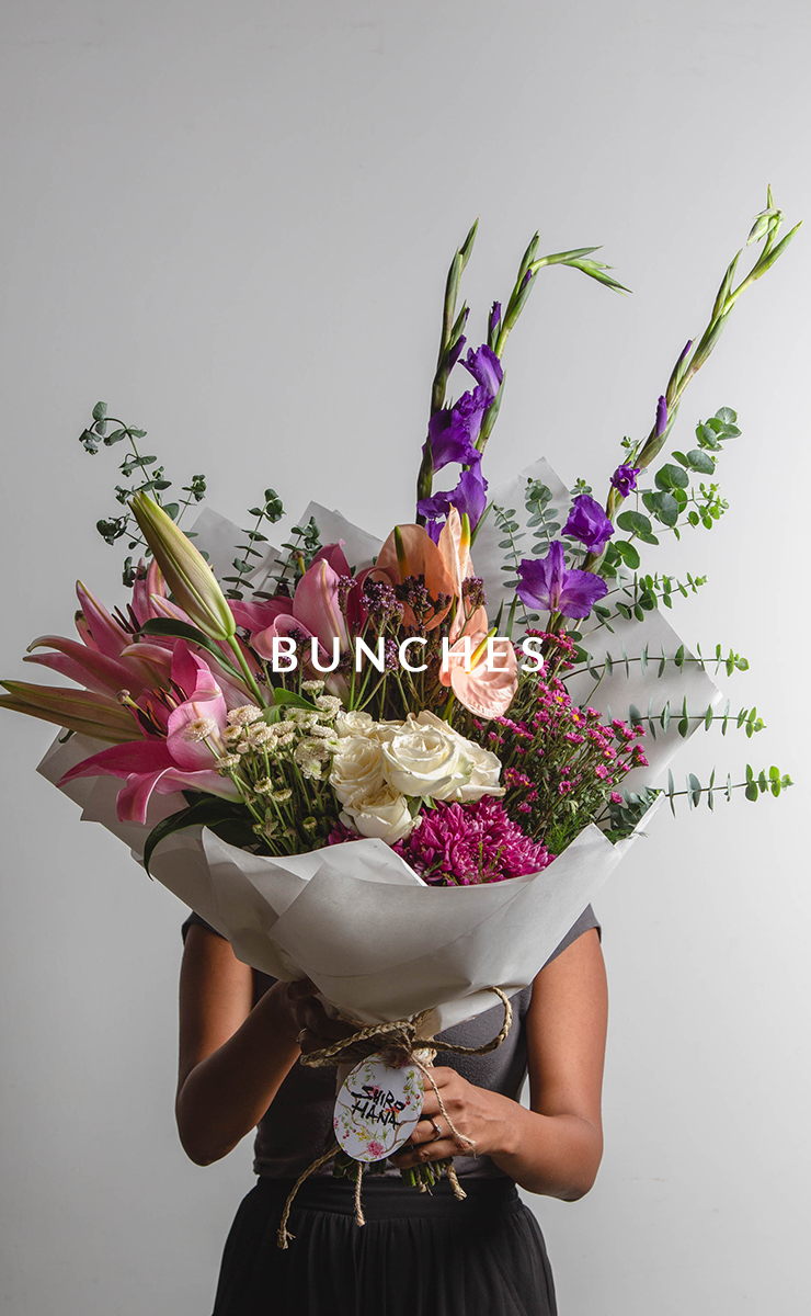Shirohana Send Flowers Gifts To Sri Lanka Shop Online