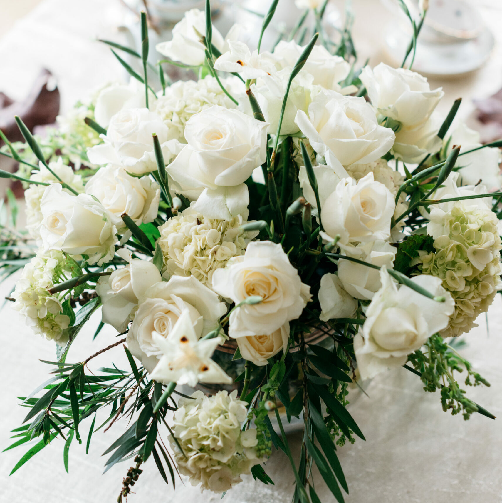 White Roses - Shirohana Flowers